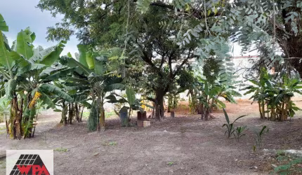 Terreno para aluguel, Centro - Americana/SP