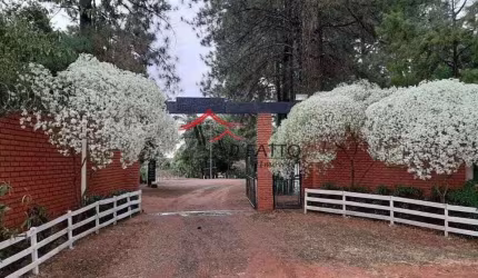 Chácara rural à venda, Novo Jardim Pagani, Bauru.