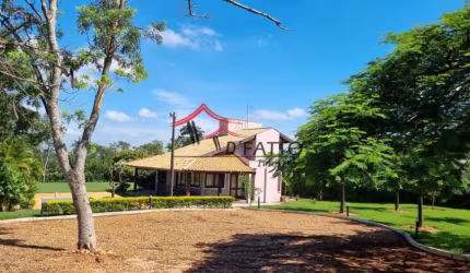 Palmas de Rey