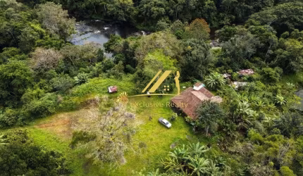 Fazenda de Cacau no município de Ilhéus, quase em Itajuípe. 125 hectares. Plantação de cacau e também de açaí.  O rio Almada passa por dentro dela.