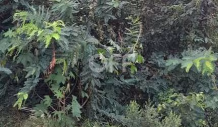 Terreno à venda na Rua Antônio Alves Bueno de Oliveira, Jardim São Vicente, Campinas por R$ 280.000