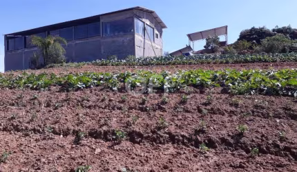 Chácara / sítio com 1 quarto à venda na Estr. Vicinal Ver. Ernesto Pires de Oliveira, KM 09, Ressaca, Ibiúna, 250 m2 por R$ 2.800.000