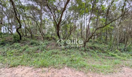 Terreno à venda, 800 m² por R$ 99.000 - Recanto dos Palmares - Atibaia/SP