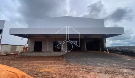 Comercial GalpãoBarracão em Marília