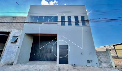 Comercial GalpãoBarracão em Marília