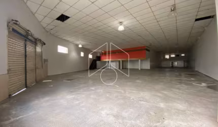 Comercial GalpãoBarracão em Marília
