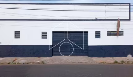 Comercial GalpãoBarracão em Marília