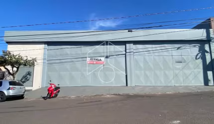 Comercial GalpãoBarracão em Marília