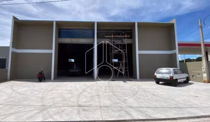 Comercial GalpãoBarracão em Marília