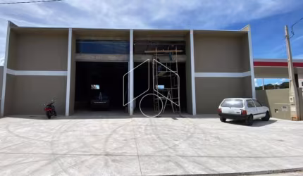 Comercial GalpãoBarracão em Marília