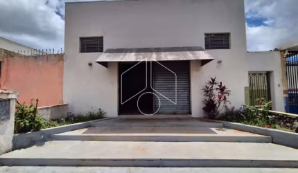 Comercial LojaSalão em Marília