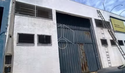 Comercial GalpãoBarracão em Marília