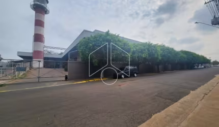 Comercial GalpãoBarracão em Marília