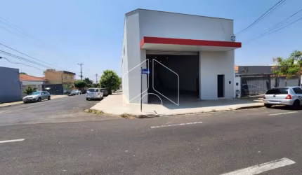 Comercial GalpãoBarracão em Marília