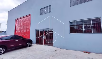 Comercial GalpãoBarracão em Marília