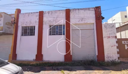 Comercial GalpãoBarracão em Marília