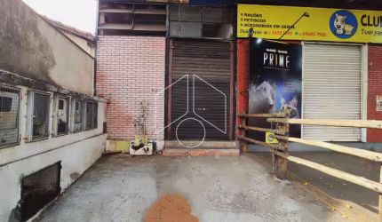 Comercial LojaSalão em Marília