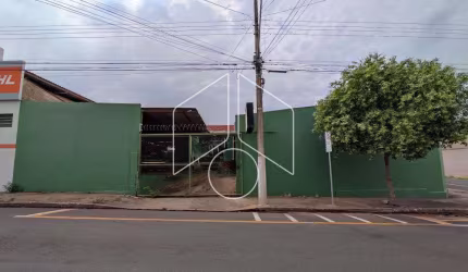 Comercial GalpãoBarracão em Marília