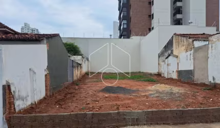 Terreno Área em Marília