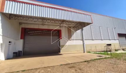 Comercial GalpãoBarracão em Marília