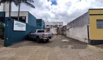 Terreno Área em Marília