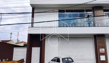 Comercial GalpãoBarracão em Marília