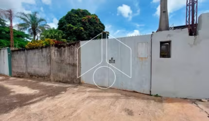 Terreno Área em Marília