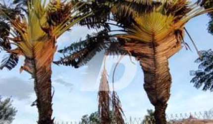 Casa comercial à venda no Loteamento Alphaville Campinas, Campinas , 568 m2 por R$ 2.900.000