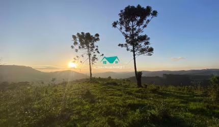 Terreno à Venda com 24.000 m²
