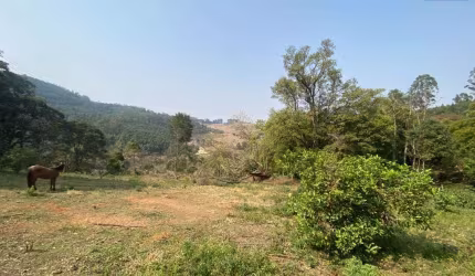 Terreno à venda, 38000 m²  - Centro - Pedra Bela/SP