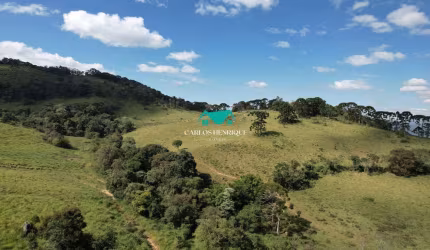 Terreno à Venda  R$ 1.800.000 - Pedra Bela - SP
