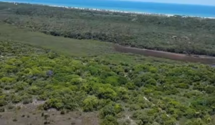 Chácara / sítio à venda na Fazenda MANGABEIRA, SN, Centro, Jandaíra, 2 m2 por R$ 2.500.000