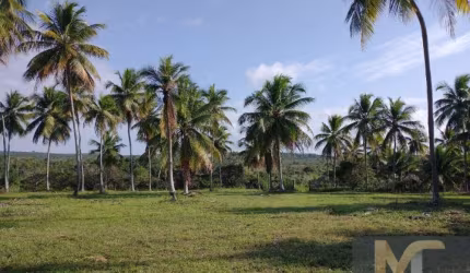 Chácara / sítio à venda na Rodovia Rodovia Conde/Esplanada, sn, Zona Rural, Conde, 200 m2 por R$ 1.710.000
