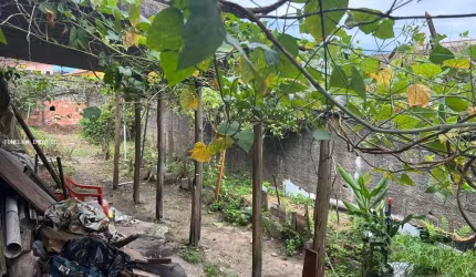 Terreno para Venda em Itanhaém, Jardim Nossa Senhora do Sion