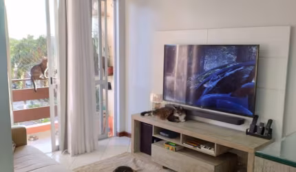 Lindo apartamento com ótima localização! Excelente para você que quer investir e realizar o sonho da casa propia