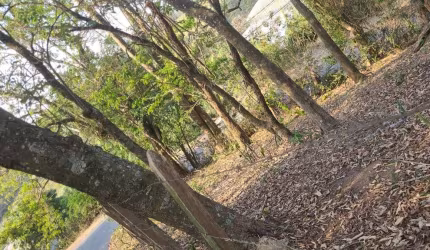 Terreno à venda, Vila Nova São Roque, São Roque, SP comercial ou residencial