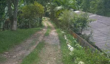 MARAVILHOSO Sítio à venda, Centro (São João Novo), São Roque, SP
