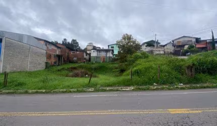 Terreno Pioneiro Caxias do Sul