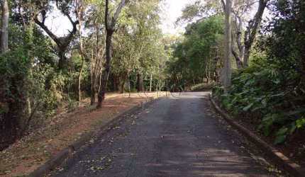 Terreno à venda em Campinas, Parque São Quirino, com 2020 m², Chácaras São Quirino