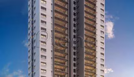 Apartamento à venda no Nova Campinas, 3 quartos - Campinas