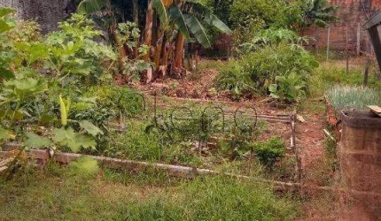 Terreno à venda com 310 m² no Jardim dos Oliveiras, Campinas.