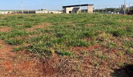 Terreno à venda com 305 m² no Quinta dos verdes, em Paulínia