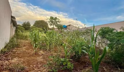 Terreno à venda em Campinas, Cidade Jardim, com 250 m²