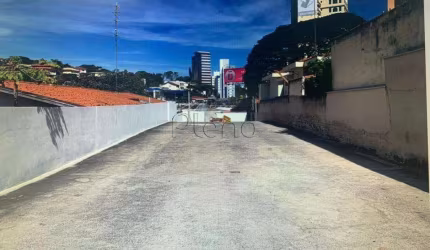 Terreno para alugar em Campinas, Cambuí, com 447 m²