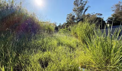 Terreno a venda no Loteamento Alto das Figueiras, bairro Marambaia em Vinhedo - São Paulo.