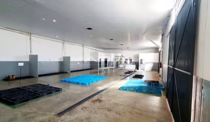 Vende-se barracões na marginal da BR-369, 3.000 m²  1 barracão nos fundos.