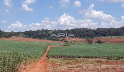 Fazenda à venda  Excelente oportunidade  Estado de São Paulo