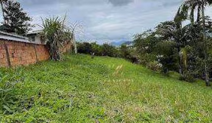 Terreno à venda, 718 m² por R$ 480.000,00 - Ilha da Figueira - Jaraguá do Sul/SC