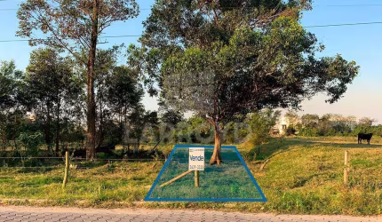TERRENO BAIRRO DEHON