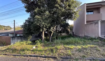 Terreno Lote para Venda em Vila Solene Campo Largo-PR